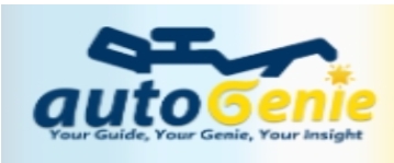 Auto Genie Dummy Logo
